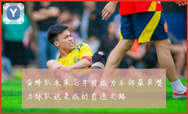黄蜂队未来七年将成为东部最具潜力球队这是我的首选之路