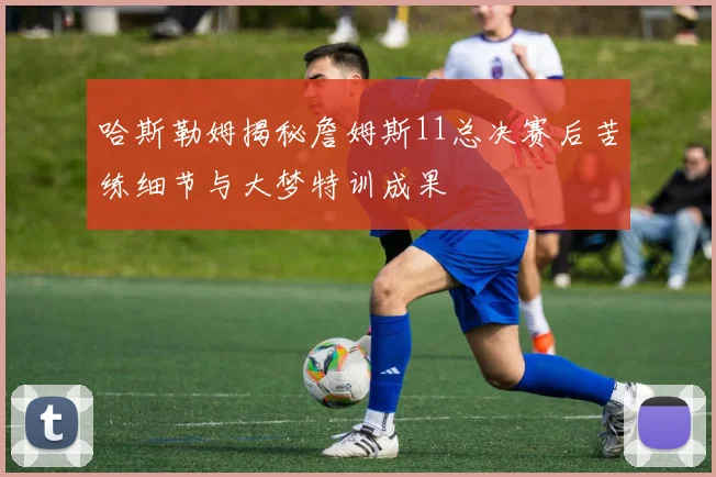 哈斯勒姆揭秘詹姆斯11总决赛后苦练细节与大梦特训成果